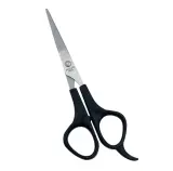 Ciseaux coiffure D309