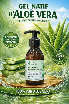 Gel natif d'Aloë Vera 100ml