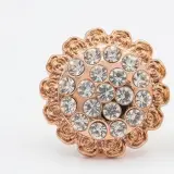Broche  Salon Plastique  B03