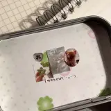 Green nd pink pack