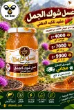 عسل شوك الجمل 2026
