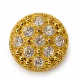Broche  Salon Plastique B01