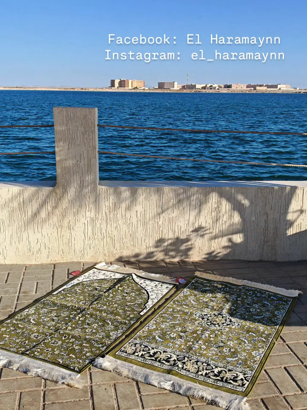 سجادة الحرم بالمحراب (٤مم)