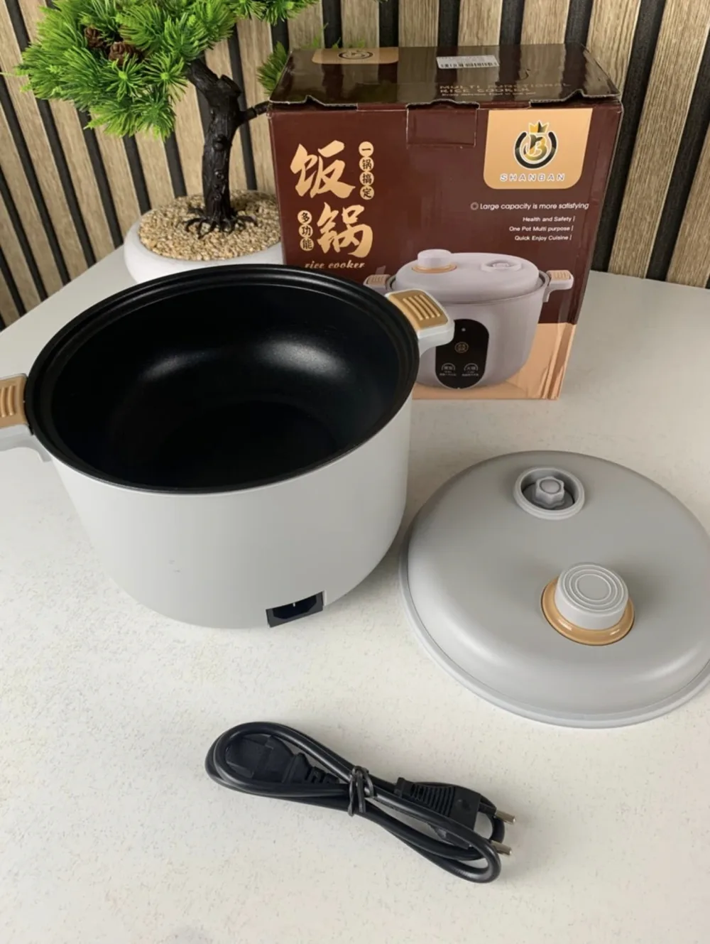 Cuiseur Electrique Multifonctionnel pour la Cuisine 20cm – جهاز طهي محمول