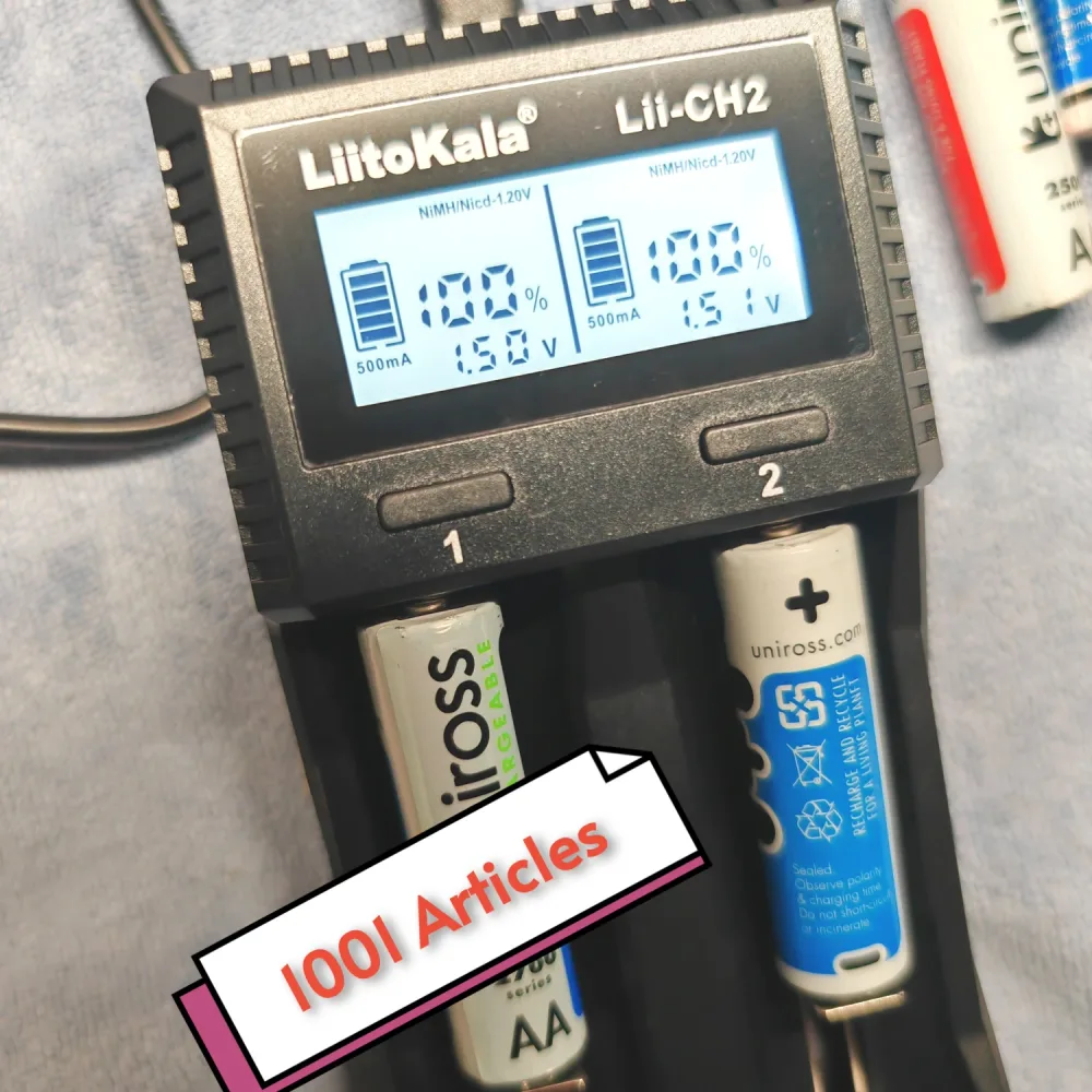 Chargeur Professionnel de Piles / Batteries