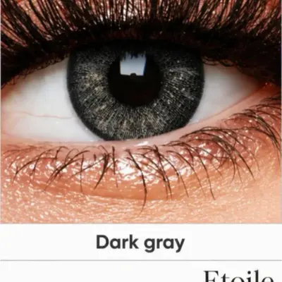 Dark grey lentille
