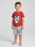 انسومبل Bluey