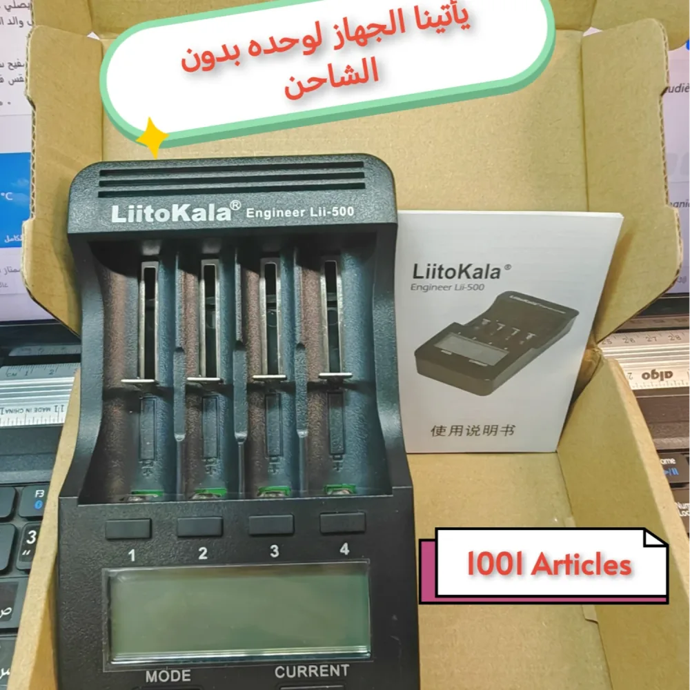 Chargeur Professionnel de Piles / Batteries