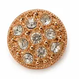 Broche  Salon Plastique B01