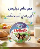 Délices جبن 16