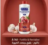 Natora pro شامبو عائلي
