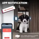 Capteur intelligent d'ouverture de porte / fenêtre - MOES Tuya Smart Zigbee