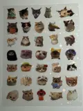 Water proof cat stickers sheet