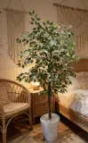 Ficus artificielle 180 cm - شجرة فيكوس اصطناعية
