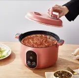 Cuiseur Electrique Multifonctionnel pour la Cuisine 20cm – جهاز طهي محمول