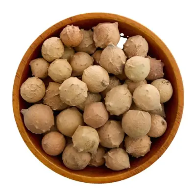العفص