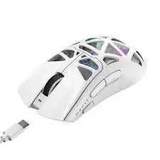 HAVIT MS1042WB