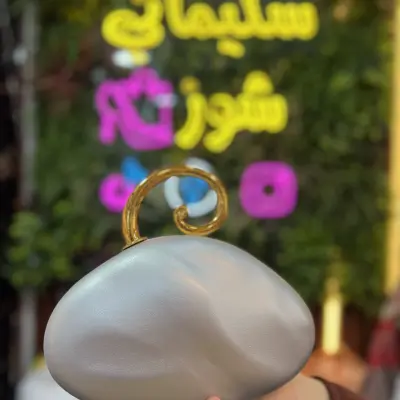 حقيبة للمناسبات