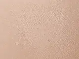 Eau Rafraichissante et Coiffante Bébé 200ml