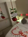 بــوكس جــوري