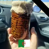 التين و الزيتون