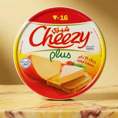 شيزي تحضيرة جبنية 16