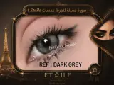 Dark grey lentille