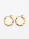 Boucle d'oreille Acier inoxydable PM