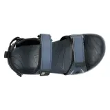Fangs Navy 11290