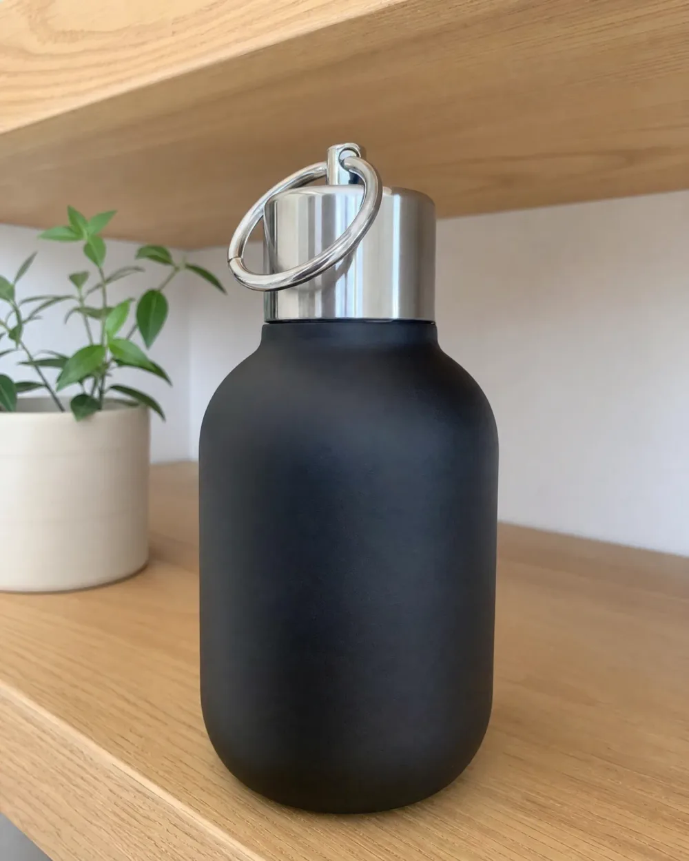 🍾 Bouteille Isotherme Inox à Poignée