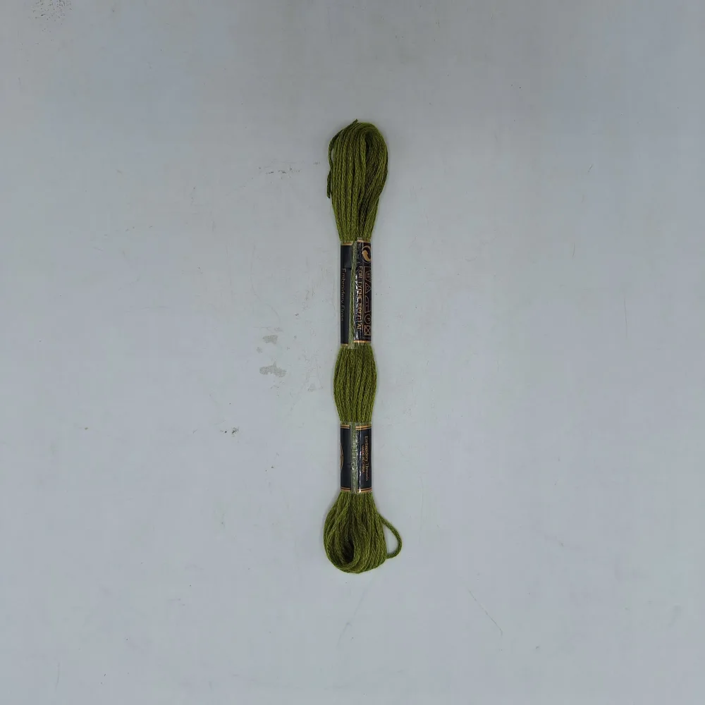 Molini Boite De 12pcs