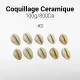 Coquillage Ceramique