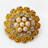 Broche  Salon Plastique  B02
