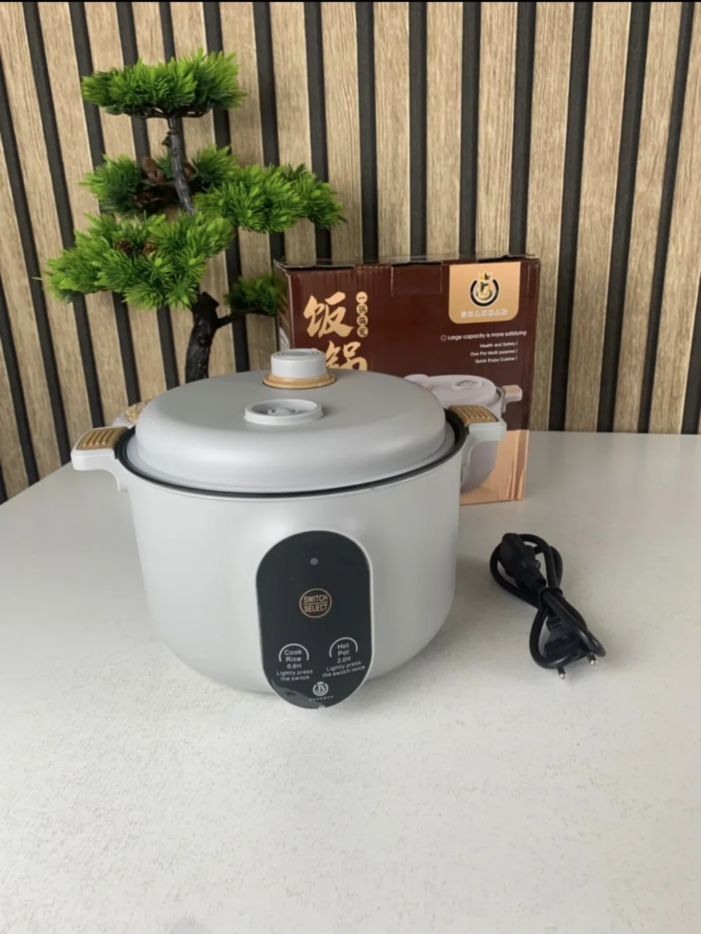 Cuiseur Electrique Multifonctionnel pour la Cuisine 20cm – جهاز طهي محمول
