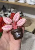 🌿 Mini Plante Décorative “Happy Life”