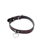 Collier Cœur avec Laisse VALERIA | طوق قلب مع سلسلة