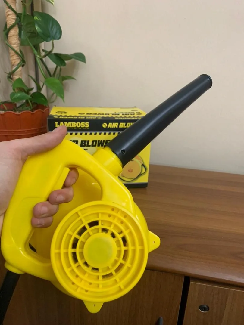 Aspirateur Souffleur pour Extérieur et Intérieur 600W