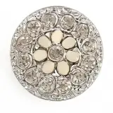 Broche  Salon Plastique B05