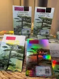 حبوب الجينسينج الأصلية ( الصين )