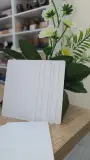 (CARTE PVC  (BOITE 250 CARTES