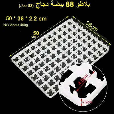 بلاطو 88 بيضة دجاج