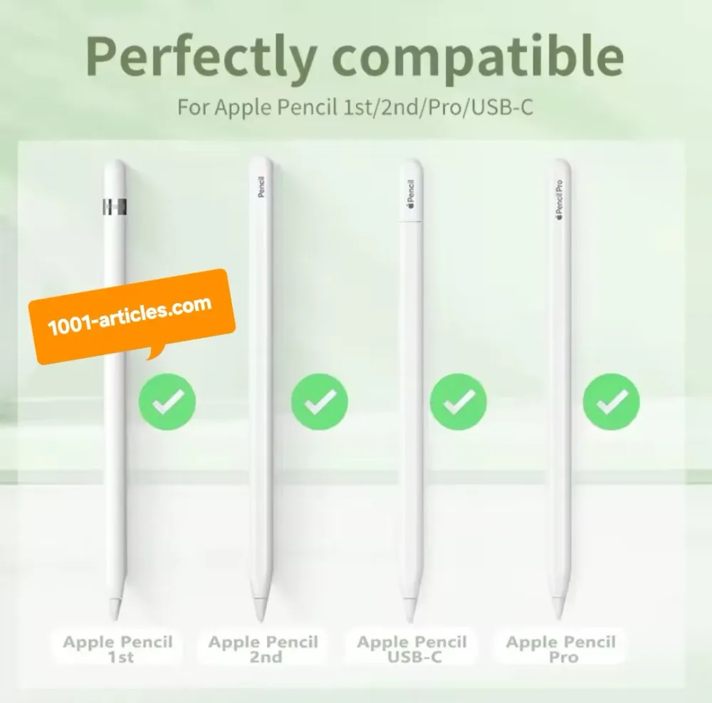 Boîte pour Apple Pencil iPad Pen comprenant 05 embouts de Stylet.