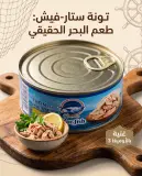 فتات تونة بالزيت النباتي  880غ