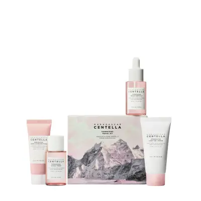 مجموعة السفر للعناية بالبشرة المسامية SKIN1004 Madagascar Centella Poremizing