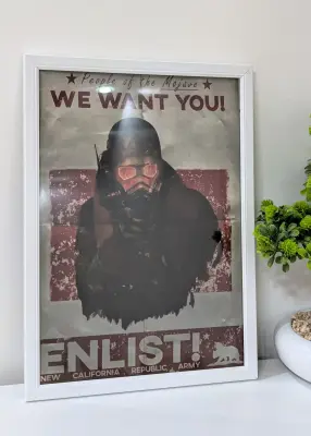 Cadre Fallout New Vegas NCR