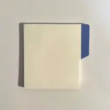 Sticky notes