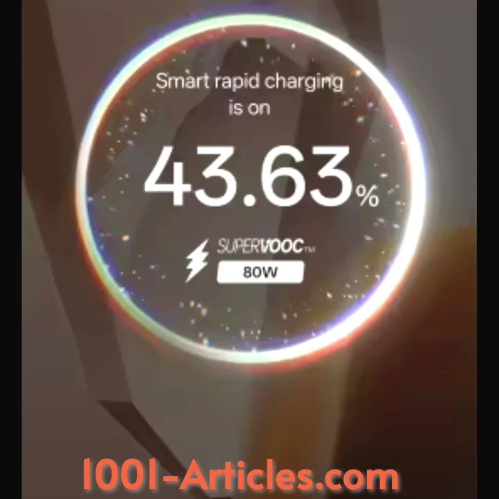 Chargeur Original Type C - Super VOOC 80W - OnePlus