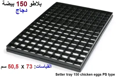 بلاطو 150 بيضة دجاج