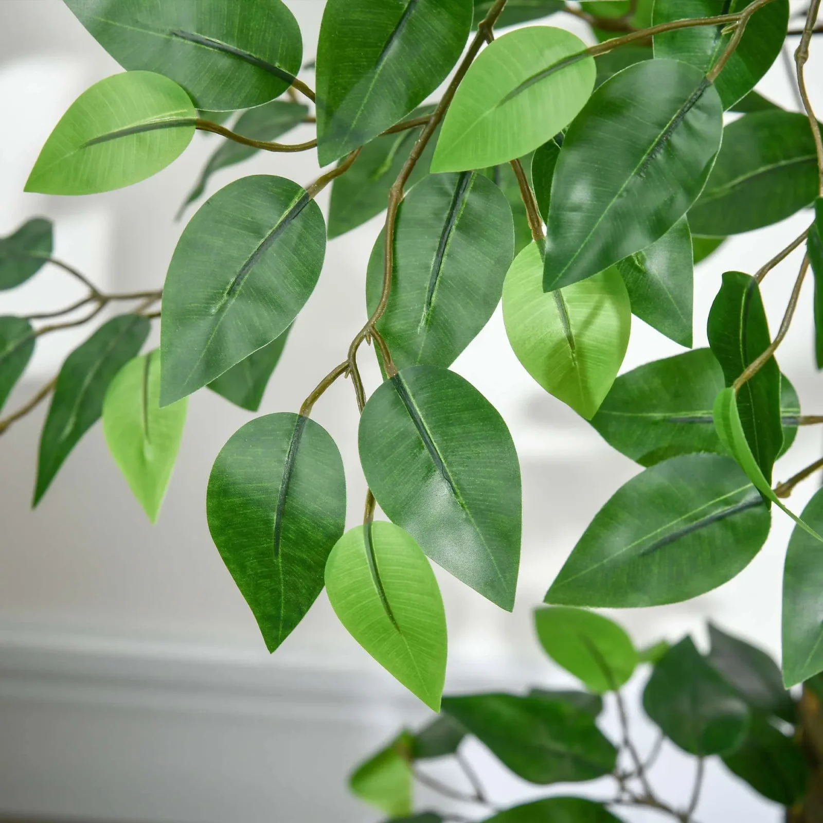 Ficus artificielle 80 cm - شجرة فيكوس اصطناعية