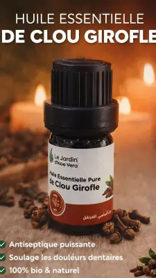 Huile essentielle de clou de girofle زيت أساسي القرنفل